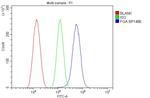 Fibrinogen alpha chain Antibody in Flow Cytometry (Flow)