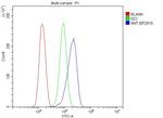 NNT Antibody in Flow Cytometry (Flow)