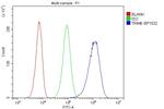 TRIM6 Antibody in Flow Cytometry (Flow)