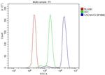 CaV1.1 Antibody in Flow Cytometry (Flow)