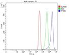 TPM2 Antibody in Flow Cytometry (Flow)