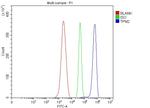 TPM2 Antibody in Flow Cytometry (Flow)