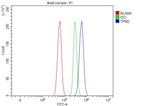 TPM2 Antibody in Flow Cytometry (Flow)