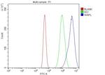 WAPL Antibody in Flow Cytometry (Flow)