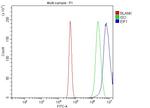 eIF1 Antibody in Flow Cytometry (Flow)