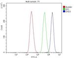 EHD3 Antibody in Flow Cytometry (Flow)