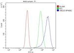 UBE2D1/2/3/4 Antibody in Flow Cytometry (Flow)