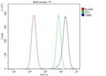 CMBL Antibody in Flow Cytometry (Flow)