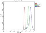 Heme oxygenase 2 Antibody in Flow Cytometry (Flow)