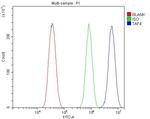 TAF4 Antibody in Flow Cytometry (Flow)