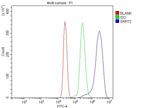 SRP72 Antibody in Flow Cytometry (Flow)