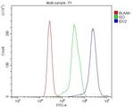 IDO2 Antibody in Flow Cytometry (Flow)