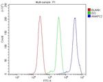 ANAPC2 Antibody in Flow Cytometry (Flow)