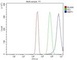 SMCR7L Antibody in Flow Cytometry (Flow)