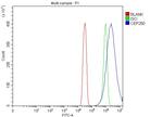 CEP250 Antibody in Flow Cytometry (Flow)