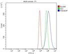 Myomegalin Antibody in Flow Cytometry (Flow)