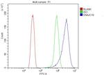 DNAJC10 Antibody in Flow Cytometry (Flow)