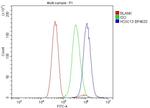 HOXC13 Antibody in Flow Cytometry (Flow)