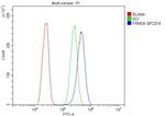 FRMD6 Antibody in Flow Cytometry (Flow)