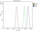 LSM7 Antibody in Flow Cytometry (Flow)