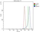 B3GNT2 Antibody in Flow Cytometry (Flow)