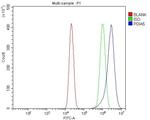 PDIR Antibody in Flow Cytometry (Flow)