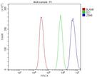 LSM5 Antibody in Flow Cytometry (Flow)