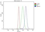 FKBP15 Antibody in Flow Cytometry (Flow)