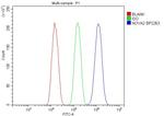 Nova-2 Antibody in Flow Cytometry (Flow)