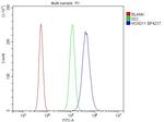 HOXD11 Antibody in Flow Cytometry (Flow)