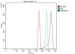 TMEM129 Antibody in Flow Cytometry (Flow)