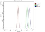 IGF2-AS Antibody in Flow Cytometry (Flow)