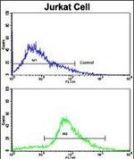 CDK2 Antibody in Flow Cytometry (Flow)