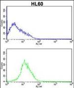 CDK4 Antibody in Flow Cytometry (Flow)