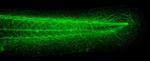 alpha Tubulin Antibody in Immunohistochemistry (IHC)