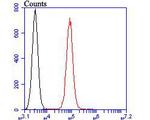 TRPV6 Antibody in Flow Cytometry (Flow)