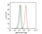 DNM1L Antibody in Flow Cytometry (Flow)