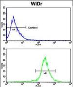 Axl Antibody in Flow Cytometry (Flow)