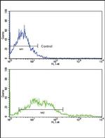 EphA2 Antibody in Flow Cytometry (Flow)