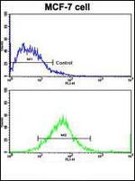 ErbB2 (HER-2) Antibody in Flow Cytometry (Flow)