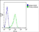 FGFR2 Antibody in Flow Cytometry (Flow)