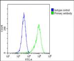 FGFR2 Antibody in Flow Cytometry (Flow)