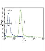 MUSK Antibody in Flow Cytometry (Flow)