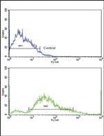 PDGFRB Antibody in Flow Cytometry (Flow)