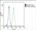 NTF3 Antibody in Flow Cytometry (Flow)