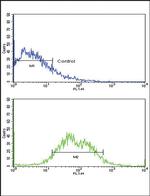 ACVRL1 Antibody in Flow Cytometry (Flow)