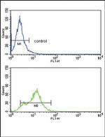 ACVRL1 Antibody in Flow Cytometry (Flow)