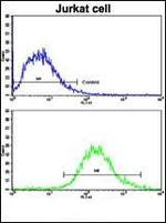 MERTK Antibody in Flow Cytometry (Flow)