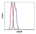 INCENP Antibody in Flow Cytometry (Flow)