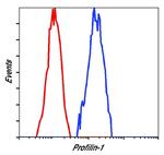 Profilin 1 Antibody in Flow Cytometry (Flow)